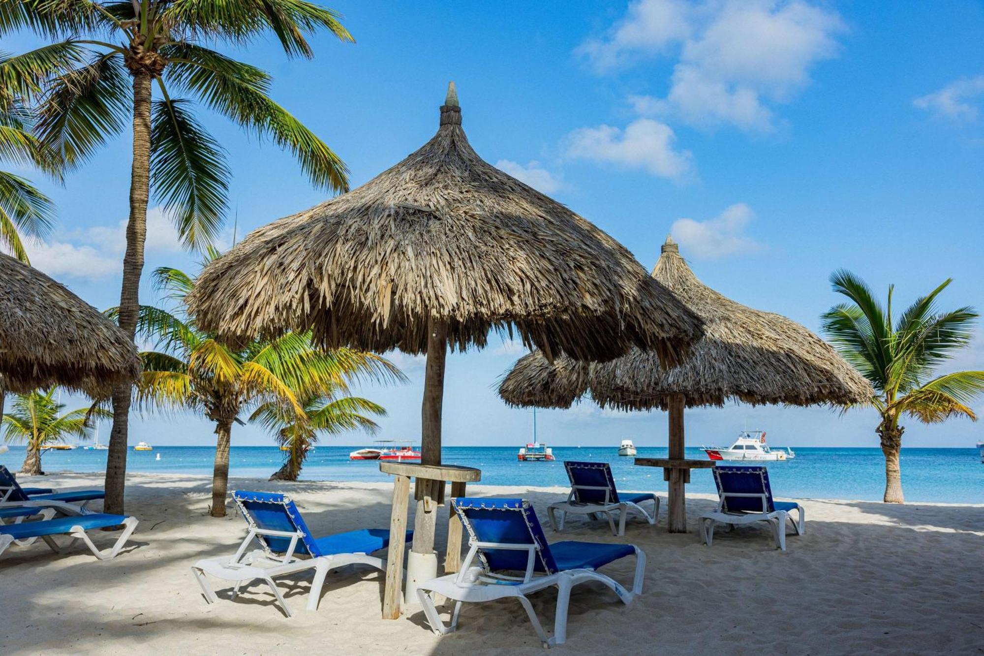 Tryp By Wyndham Aruba (Adults Only) Hotel Palm Beach Kültér fotó