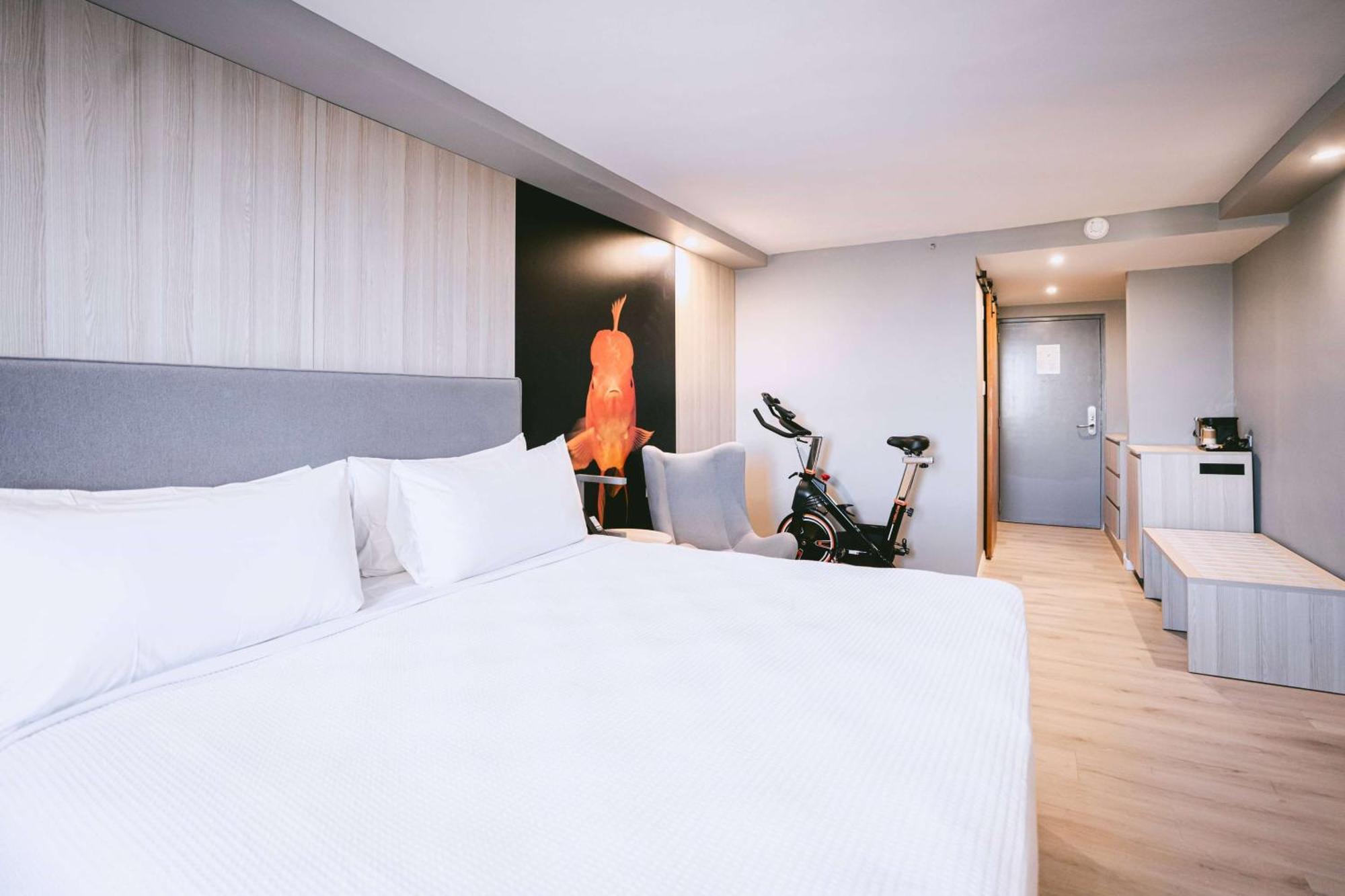 Tryp By Wyndham Aruba (Adults Only) Hotel Palm Beach Kültér fotó